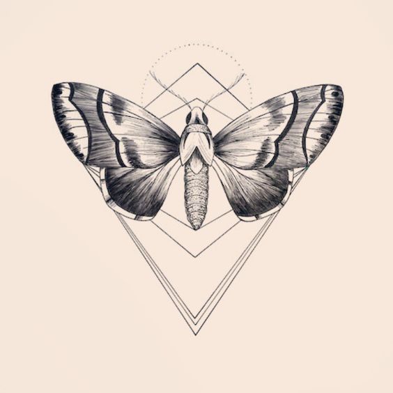 Marvelous grey butterfly and geometric drawing tattoo design