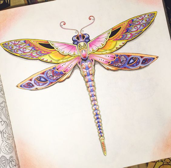 Marvelous multicolor dragonfly tattoo design