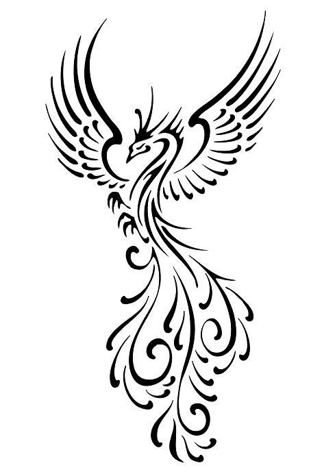 Marvelous tribal black-line bird with long curly tail tattoo design