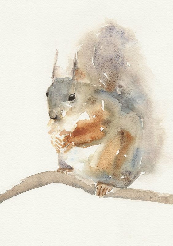 Modest pale watercolor squirrel sitting on branch tattoo design