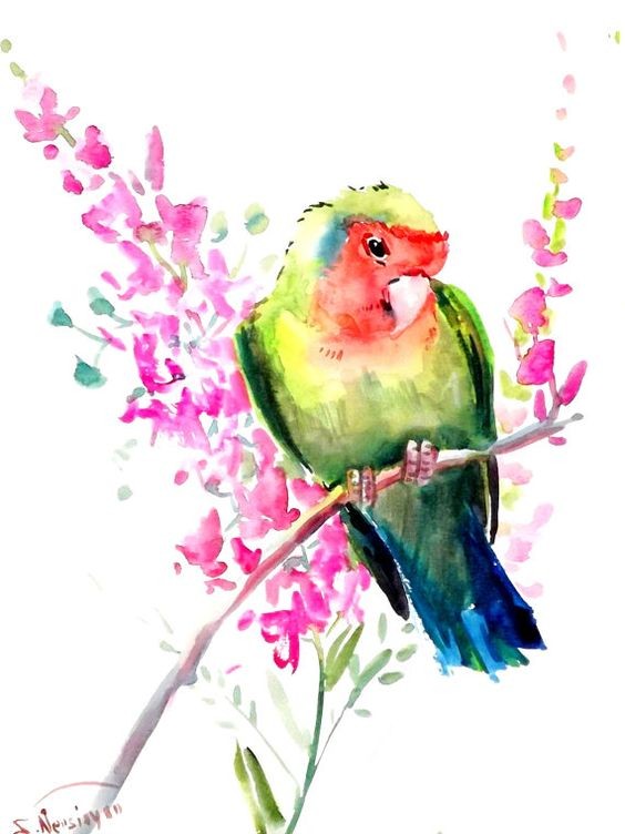 Modest watercolor parrot and pink blossom tattoo design
