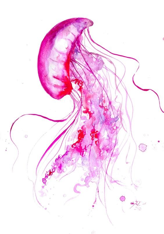 Montly pink watercolor jellyfish tattoo design