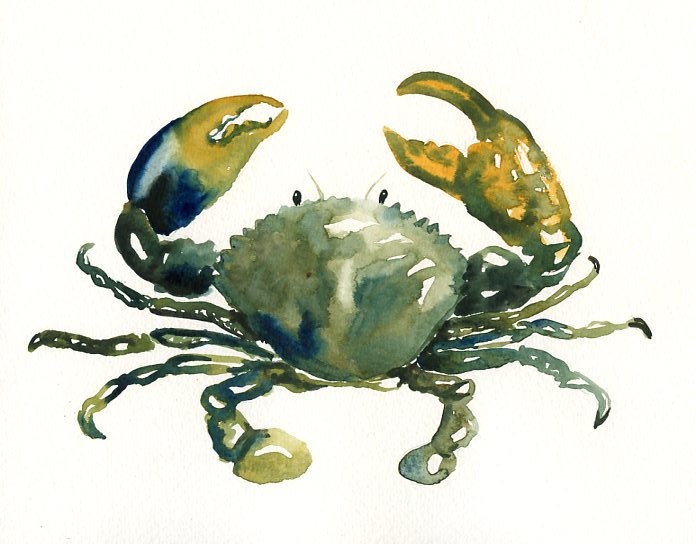 Muddy green watercolor crab tattoo design