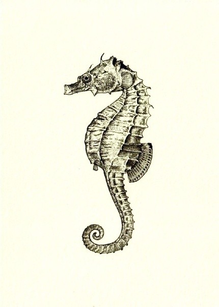 Natty grey-ink seahorse tattoo design