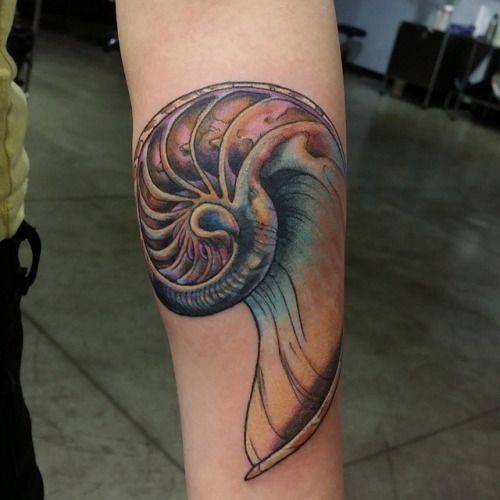 New school style colored forearm tattoo of beautiful nautilus