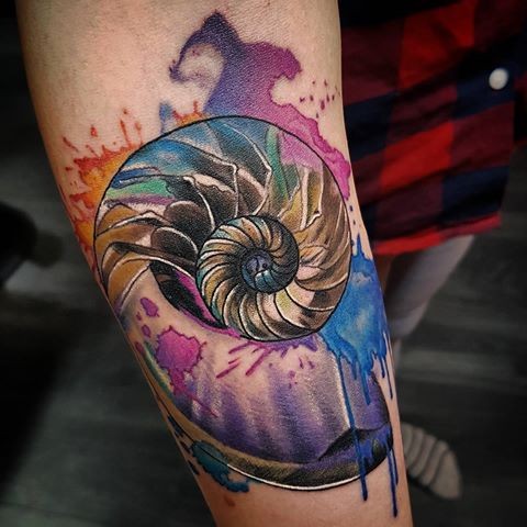 New school style colored forearm tattoo of nautilus shell