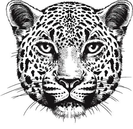 Nice blaack-and-white leopard muzzle tattoo design