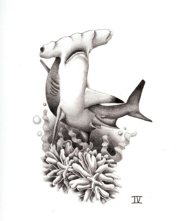 Nice black-and-white hummer shark diving on sea bottom tattoo design