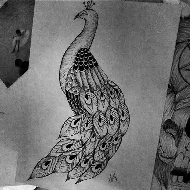 Nice black-and-white peacock tattoo design