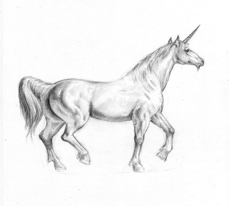 Nice black-and-white unicorn from back tattoo design by Dashinvaine
