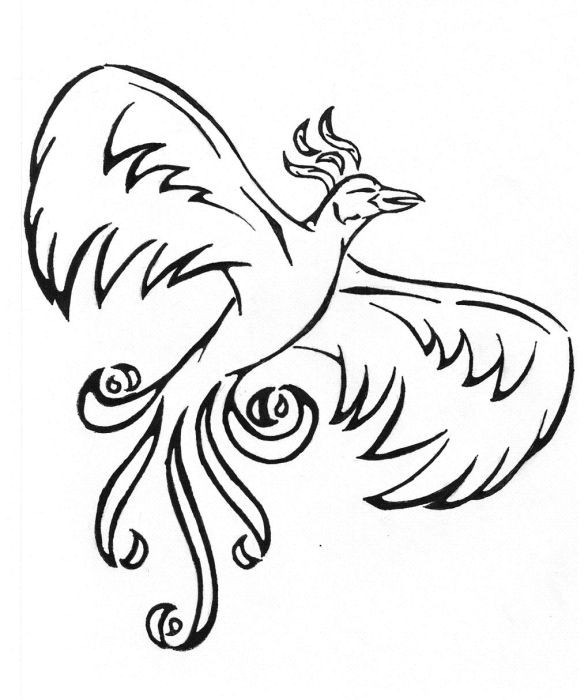 Nice cartoon outline flying phoenix bird tattoo design
