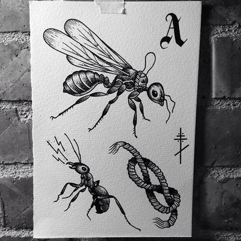 Nice dotwork-style crying ant and flying dragonfly tattoo designs