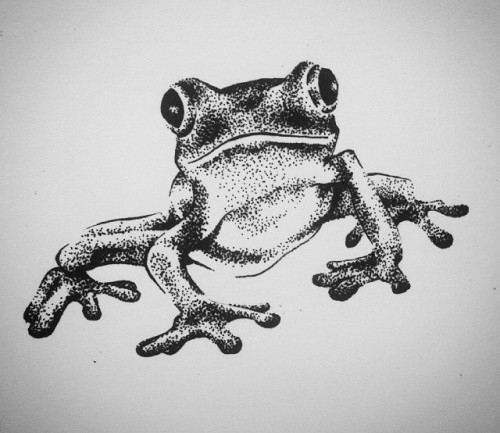 Nice dotwork frog ready to jump tattoo design