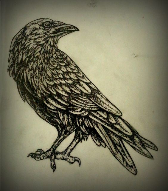 Nice dotwork raven tattoo design