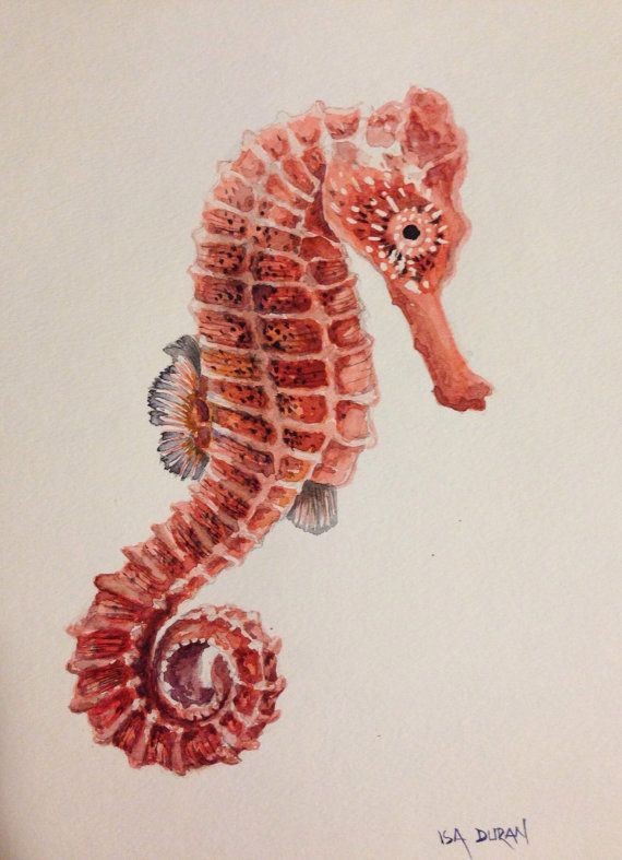 Nice ginger seahorse tattoo design