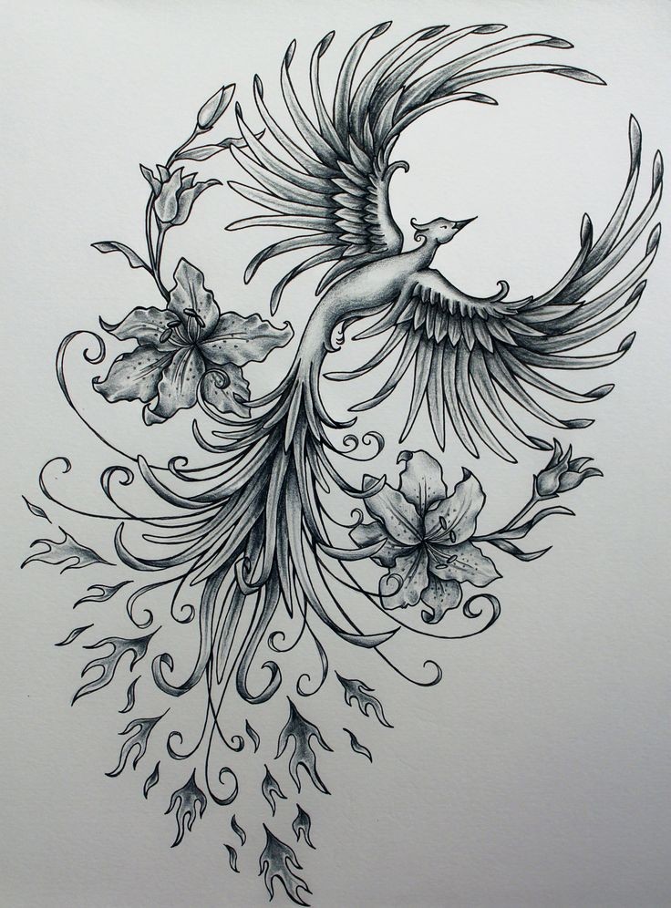 Nice grey-ink flying phoenix with flower buds tattoo design