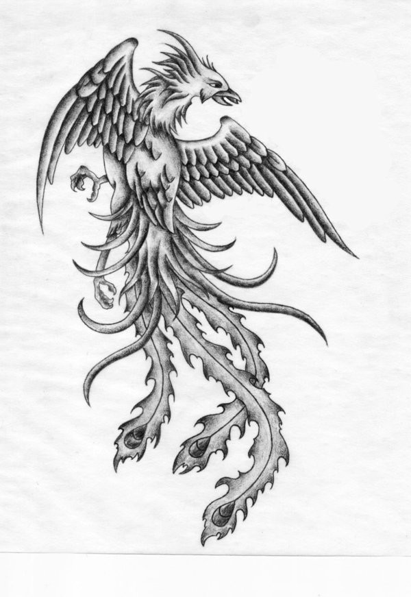 Nice grey-ink phoenix tattoo design