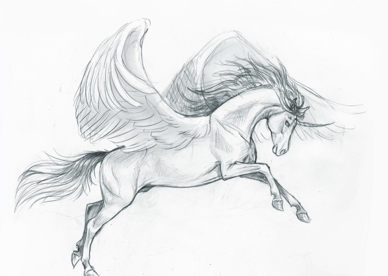 Nice pencilwork pegasus with a horn tattoo design