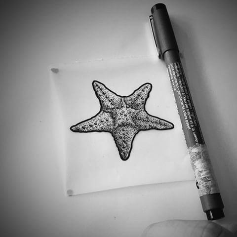 Nice small grey-ink starfish tattoo design
