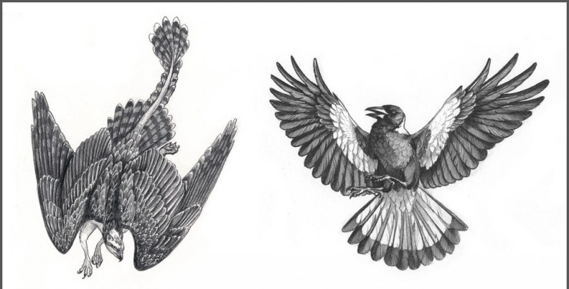 Griffin grisalho voando pelo design de tatuagem por Wind Falcon