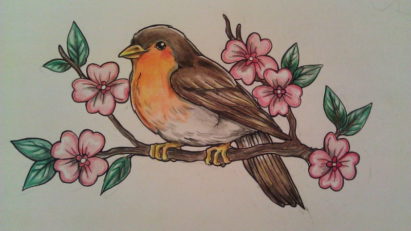 Orange-breasted sparrow sittind on flowered branch tattoo design by XsolvexcoagulaX