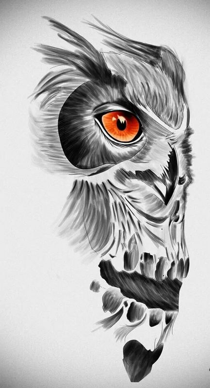Orange-eyed owl and skull tattoo design