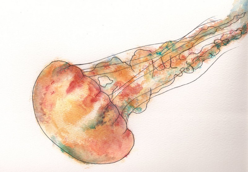 Orange watercolor jellyfish falling down tattoo design by Scheinberg