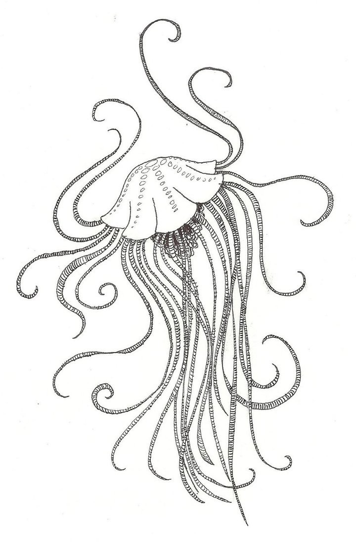 Original angry outline jellyfish spreading its tentacles tattoo design by Poiuytre