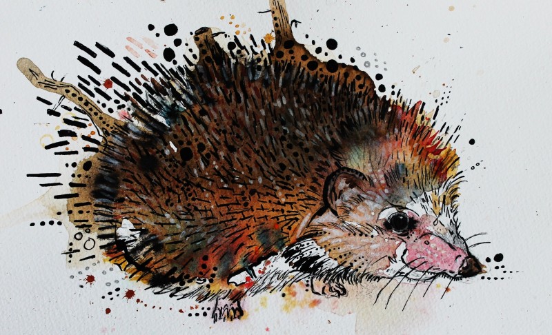 Original brown hedgehog in splashes tattoo design