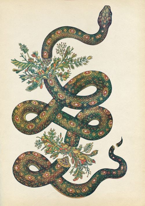 Ornate snake with floral entrails tattoo design