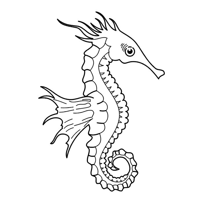 Outline animated seahorse with wide flippers tattoo design