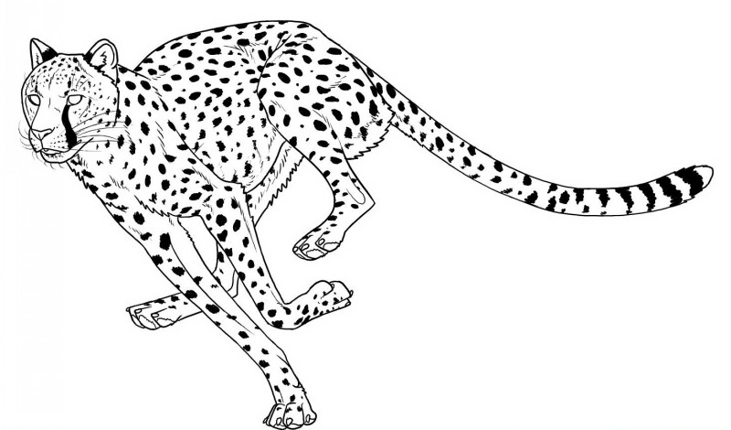 Outline blind-eyed running cheetah tattoo design