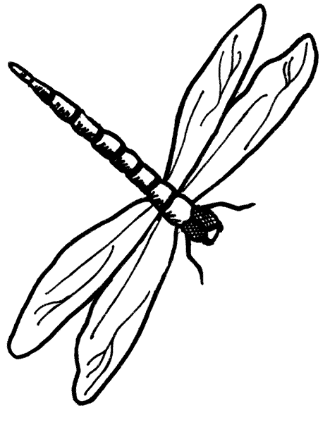 Outline dragonfly flying down tattoo design