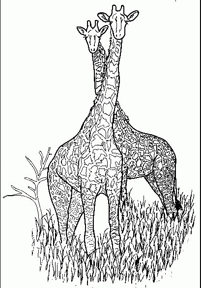 Outline giraffe couple standing on grass tattoo design