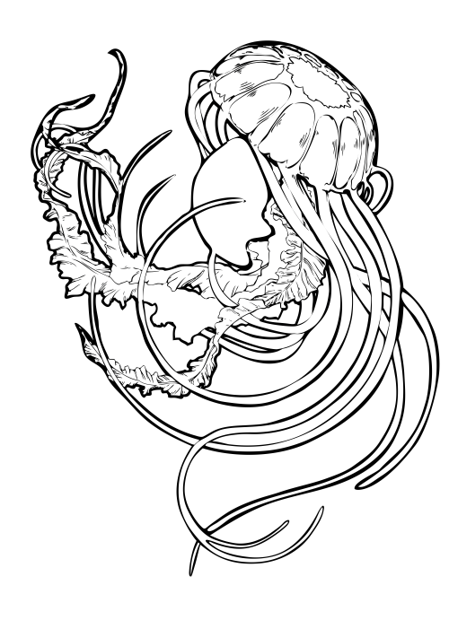 Outline jellyfish with swirly tentacles tattoo design