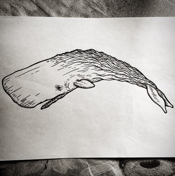 Outline unusual-skin whale tattoo design