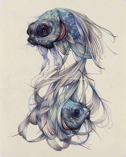 Pale-blue fishes with long silver hair-like flippers tattoo design