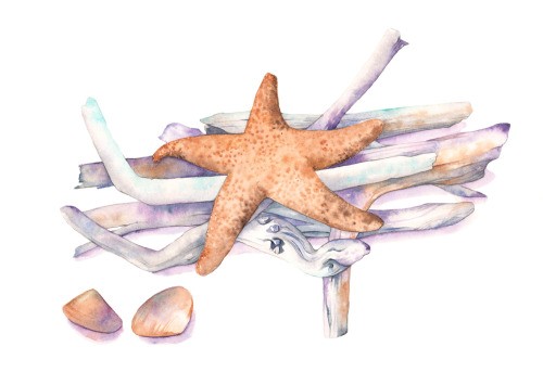 Pale orange starfish lying on purple weeds tattoo design