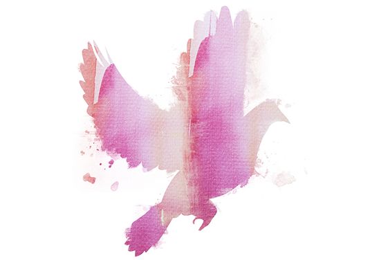 Pink watercolor dove tattoo design