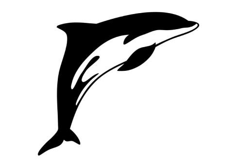 Plain black-and-white dolphin tattoo design