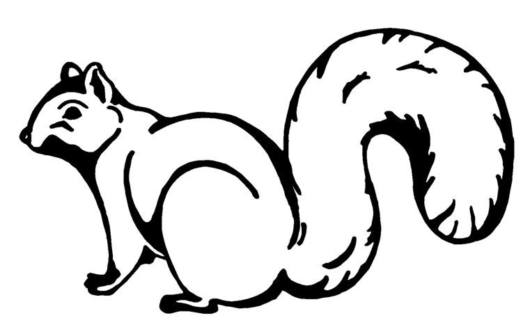 Plain black-contoured squirrel tattoo design