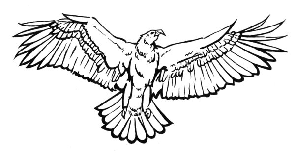 Plain black-line eagle tatoo design by Commander Sanders
