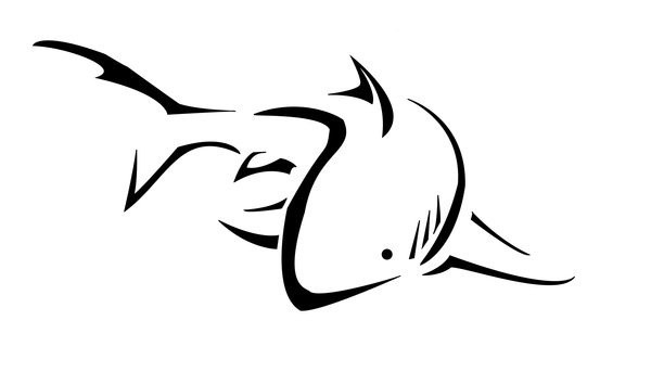 Plain ouptine swimming shark tattoo design