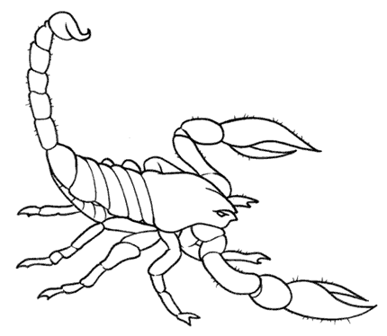 Plain outline scorpion tattoo design