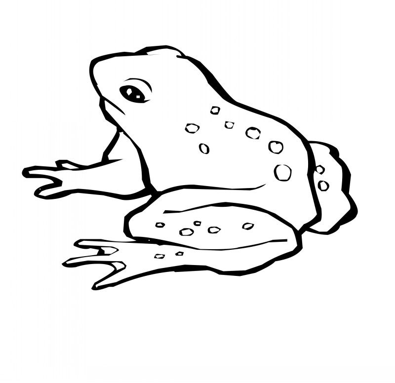 Plain uncolored frog tattoo design