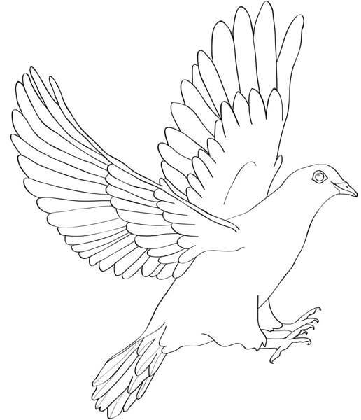 Pleased black-line flying dove tattoo design