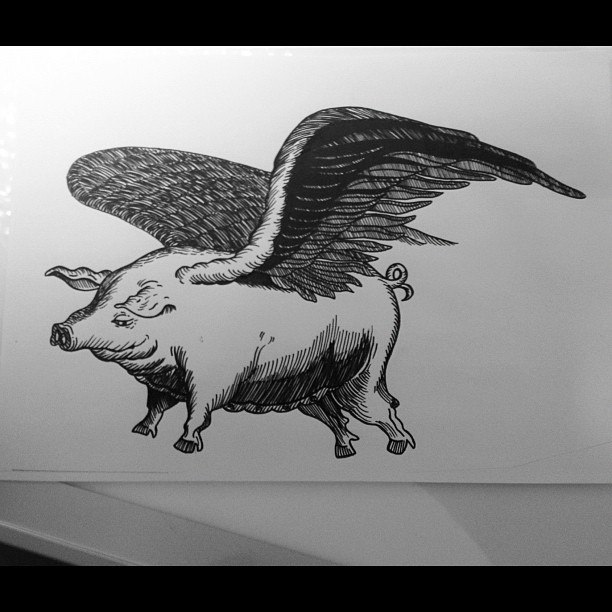 Pleased grey-ink flying pig with eagle wings tattoo design