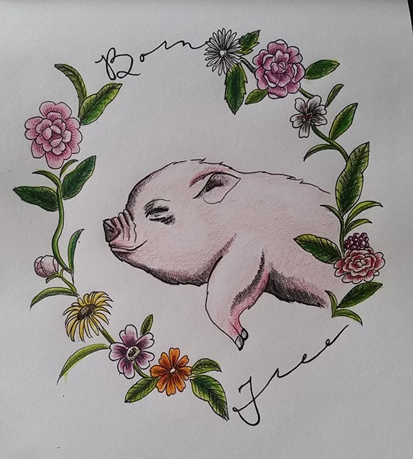 Pleased rosy pig in flowered frame tattoo design