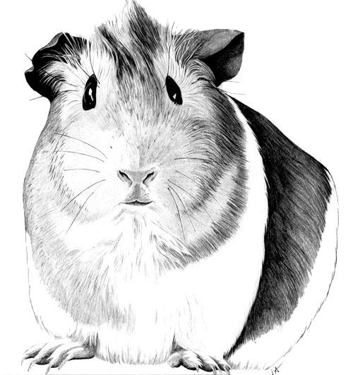 Plump black-and-white rodent tattoo design