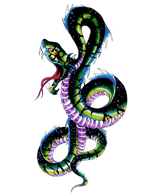 Poisonous violet-belly snake tattoo design